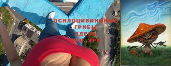таблы Надым